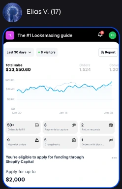 Student result 1: store sales dashboard