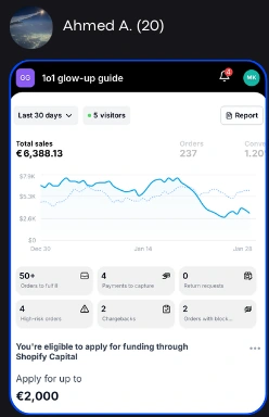 Student result 3: store sales dashboard