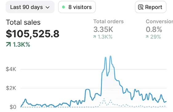 Student’s Shopify 90-day store overview